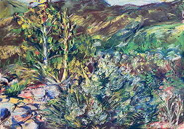 Pastel drawing of a dry riverbed, rocks and plants.