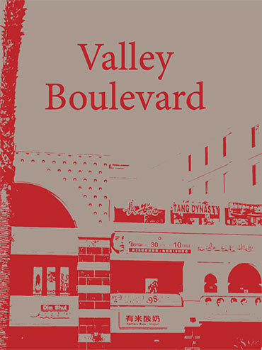 Zine sitting flat on a wooden surface, a red and gray cover showing a strip mall and entitled Valley Boulevard.
